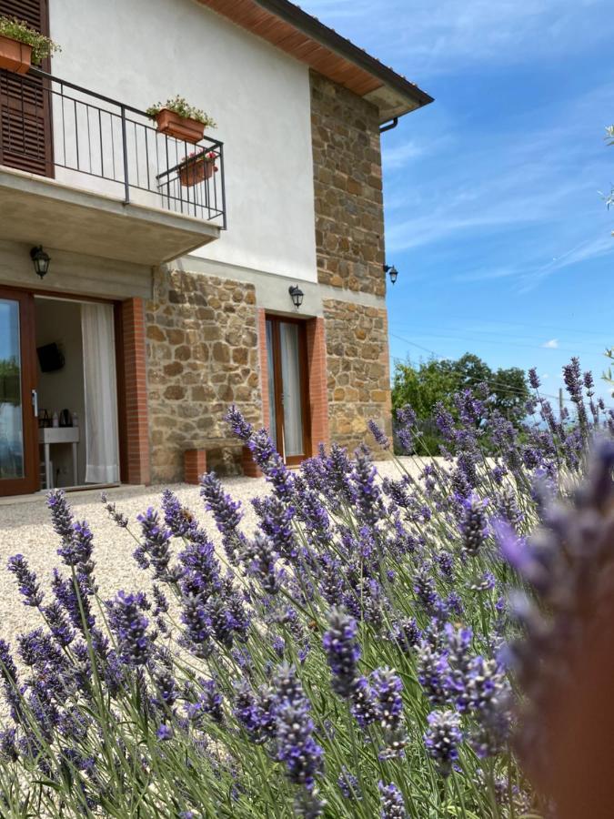 Podere Belsogno-Miniappartamento Roseto Montalcino Esterno foto
