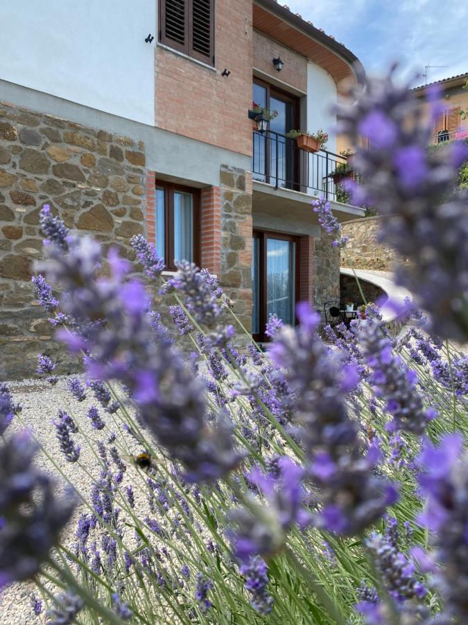 Podere Belsogno-Miniappartamento Roseto Montalcino Esterno foto
